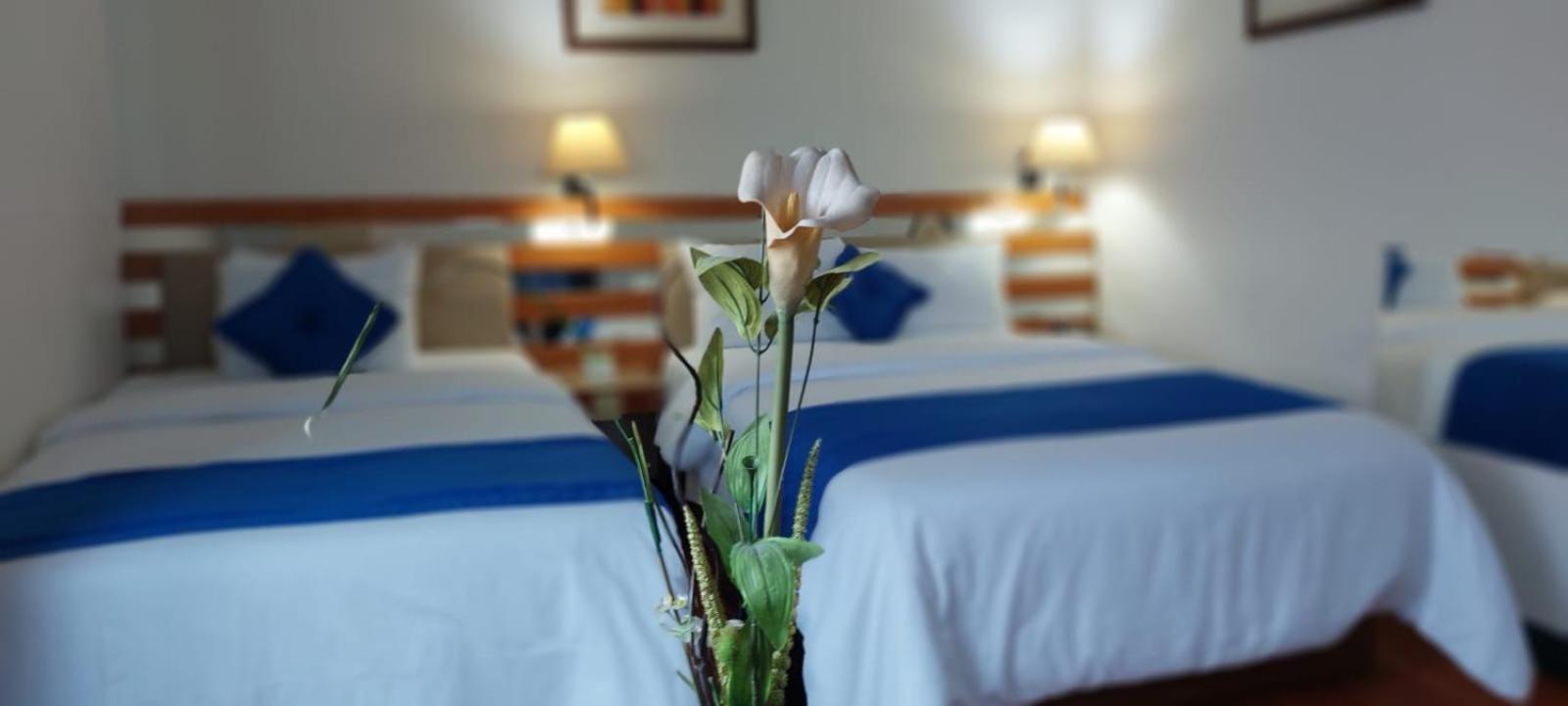 Blue Star Hotel リマ エクステリア 写真